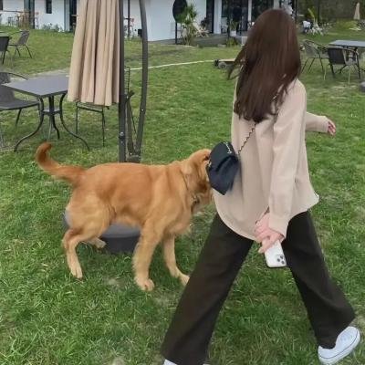 狱中龙